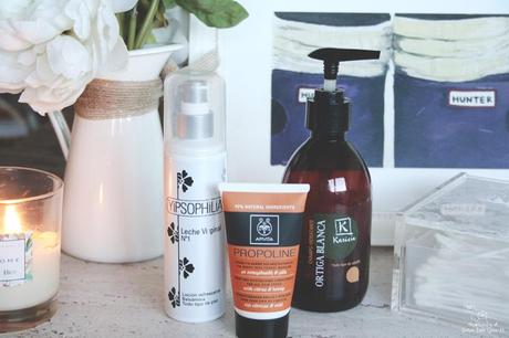 Apivita, Karicia e Yipsophilia - Scarlata y el Señor Don Gato II Apivita, Karicia e Yipsophilia - Scarlata y el Señor Don Gato II