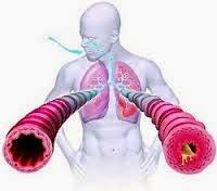 Uno de cada siete  tiene algun Tipo enfermedad pulmonar