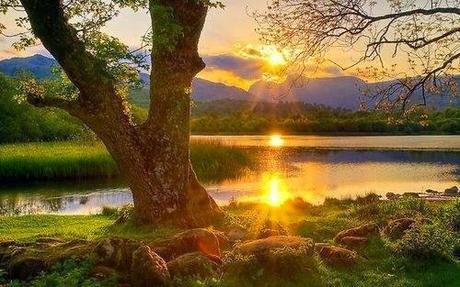 QUE ME ENTIERREN CON MIS VERSOS... QUE ME ENTIERREN CON MIS VERSOS...