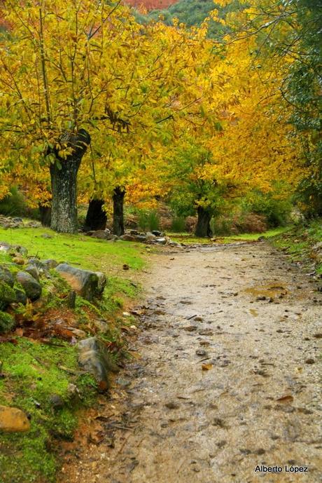 Las Médulas otoñales (y una maldad) Las Médulas otoñales (y una maldad)