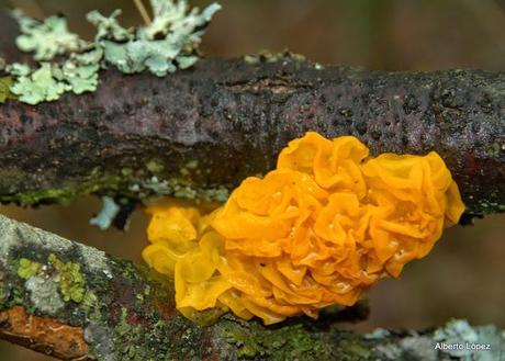 Andar a setas Andar a setas