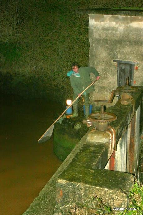 Adios a los Adios a los