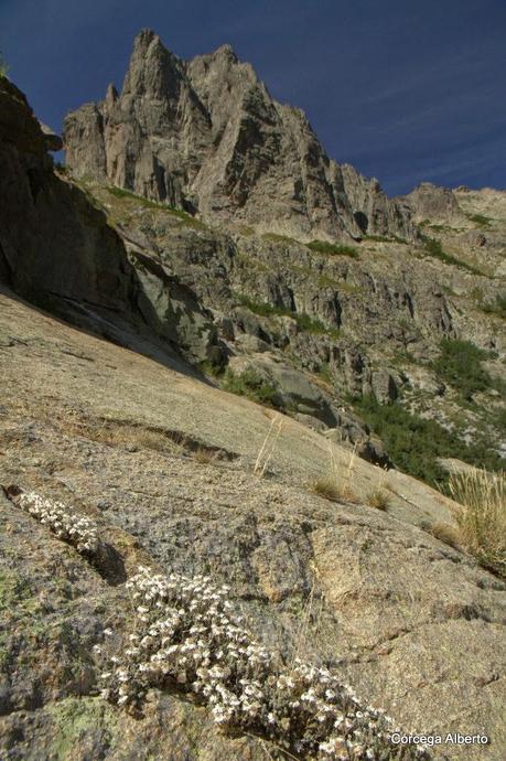 Y le entregué mi corazón.... Y le entregué mi corazón....