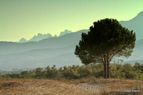 Y le entregué mi corazón.... Y le entregué mi corazón....