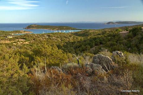 Y le entregué mi corazón.... Y le entregué mi corazón....