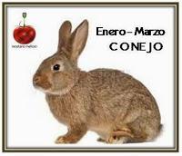 Conejo al Vino Tinto Conejo al Vino Tinto