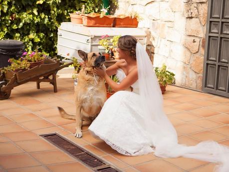 Boda Bliss: La boda de P&M (2a parte)