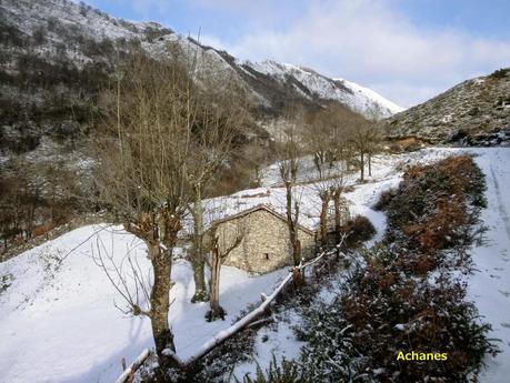 Cordal de Breza