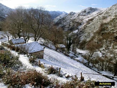 Cordal de Breza