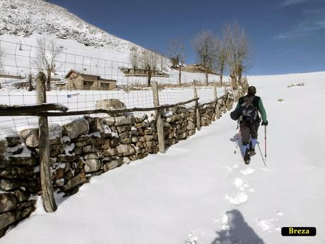 Cordal de Breza