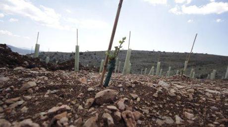 OS PRESENTAMOS UN VINO DE ALTURA, “SINDHI WINE” phoca_thumb_l_maybri 3 369