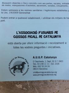 Los perros guía y la importancia de su labor. gossos_pigall_de_locos_y_enajenados_4