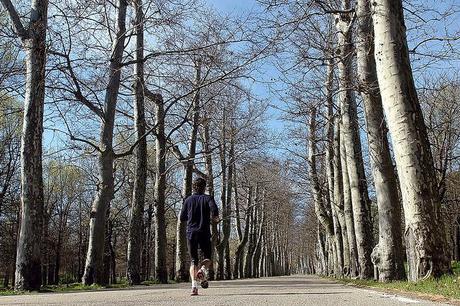 GoEuro: 5 Ciudades Running - Madrid