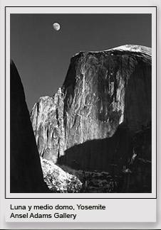 Ansel Adams: Virtuoso de la fotografía