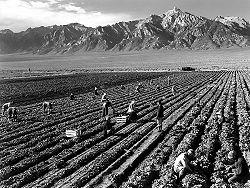 Ansel Adams: Virtuoso de la fotografía Ansel Adams: Virtuoso de la fotografía