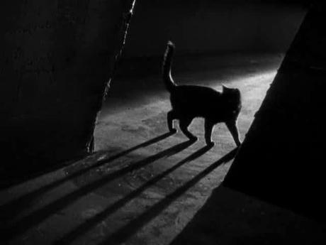 The Black Cat - 1934