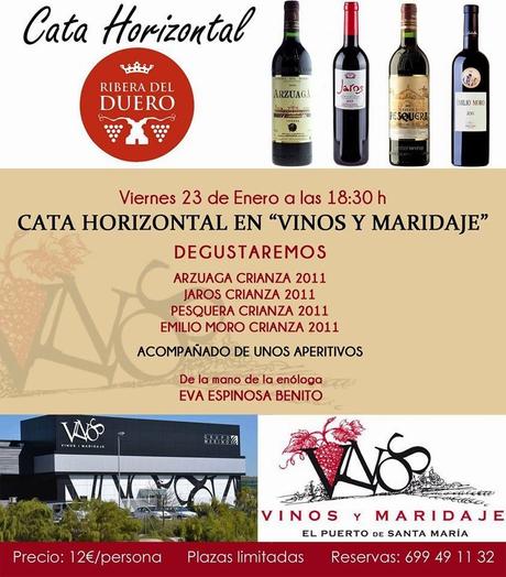 VINOS Y MARIDAJES: Cata horizontal de la D.O. Ribera del Duero (Crianza 2011)