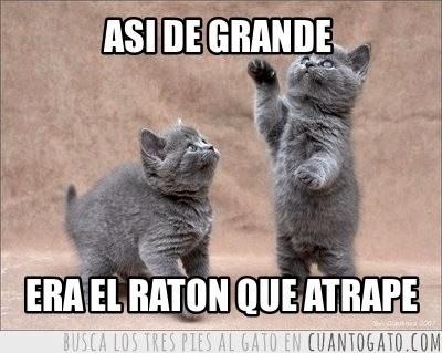 17 aciertos y fallos que cometen las clínicas estéticas 17 aciertos y fallos que cometen las clínicas estéticas