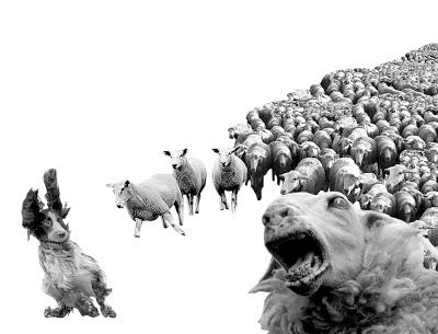 La rebelión de las ovejas