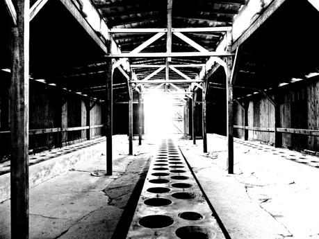 Polonia, incluyendo una visita a Auschwitz-Birkenau Polonia, incluyendo una visita a Auschwitz-Birkenau