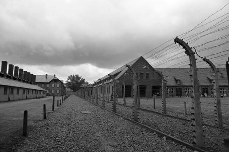 Polonia, incluyendo una visita a Auschwitz-Birkenau Polonia, incluyendo una visita a Auschwitz-Birkenau