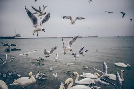 Excelentes imágenes de dominio público unsplash