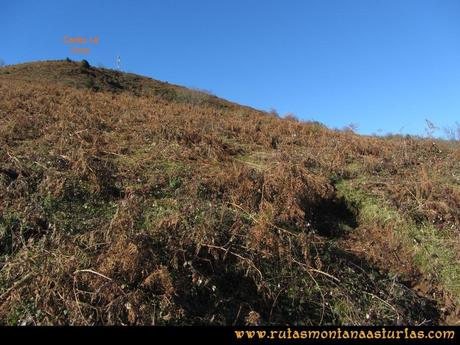 Area Buyera, picos Grandamiana y Plantón: Camino al Canto La Cruz