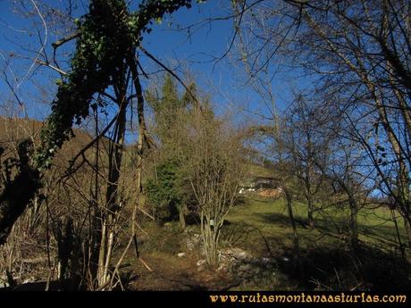 Area Buyera, picos Grandamiana y Plantón: El Dentín