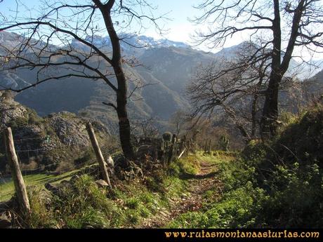 Area Buyera, picos Grandamiana y Plantón: Bajando de Castañedo del Monte.