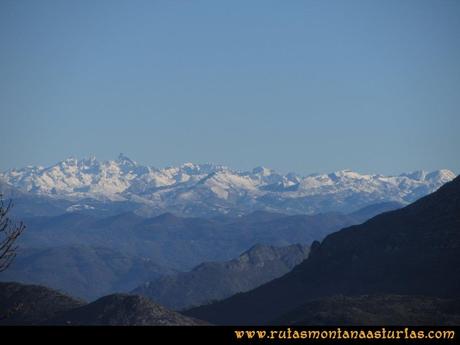Area Buyera, picos Grandamiana y Plantón: Vista desde el Grandamiana a los Picos de Europa