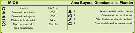 Mide Ruta Grandamiana, Plantón