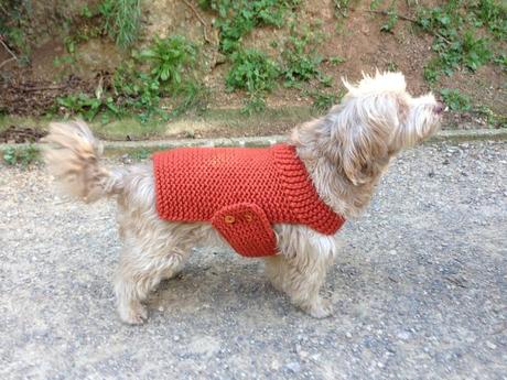 Tutorial abrigo jersey chaleco para perro tejido en telar
