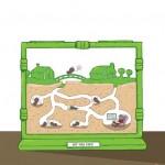 Vistazo a cinco portadas alternativas de Women of Marvel Ant-Man Nº 3