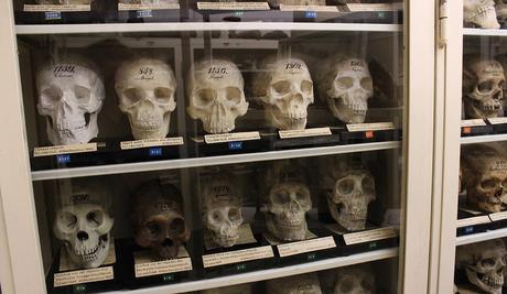 LA TORRE DE LOS LOCOS LA TORRE DE LOS LOCOS