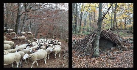 Excursión a Santa Fe del Montseny