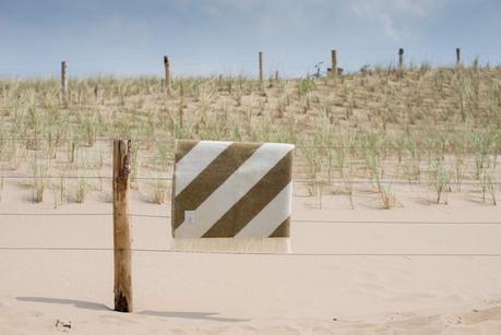 FORESTRY AT HOME FORESTRY AT HOME