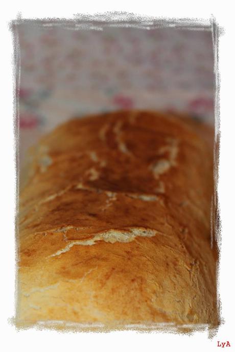 Pan Tigre... para Bake the world Pan Tigre... para Bake the world