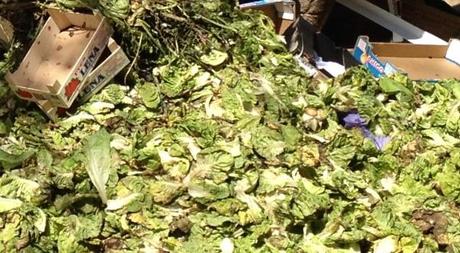 Contra el desperdicio de alimentos ¡aprovecha todo lo que puedas! Aprovechar alimentos y evitar el desperdicio de comida