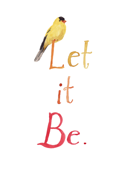 San Viernes breaking rules San Viernes breaking rules