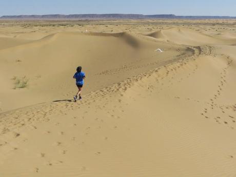 Corriendo por el desierto Corriendo por el desierto