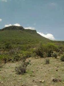 Los nombres de nuestros pueblos El Petacal de Totatiche. De P. Jose Jesus Arellano Valdez en F