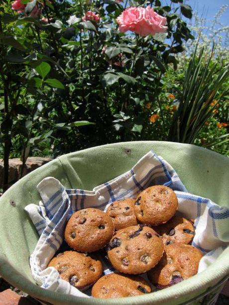 Magdalenas integrales de arándanos y chocolate magdalenas-integrales-de-arandanos-y-chocolate-