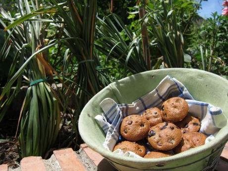 Magdalenas integrales de arándanos y chocolate magdalenas-integrales-de-arandanos-y-chocolate-