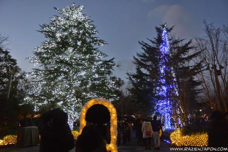 Nabana no Sato (Nagashima Resort) Iluminación navideña