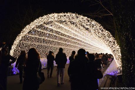 Nabana no Sato (Nagashima Resort) Iluminación navideña