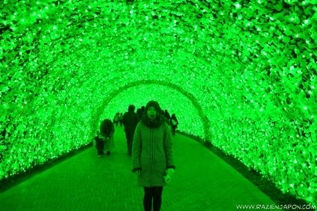 Nabana no Sato (Nagashima Resort) Iluminación navideña