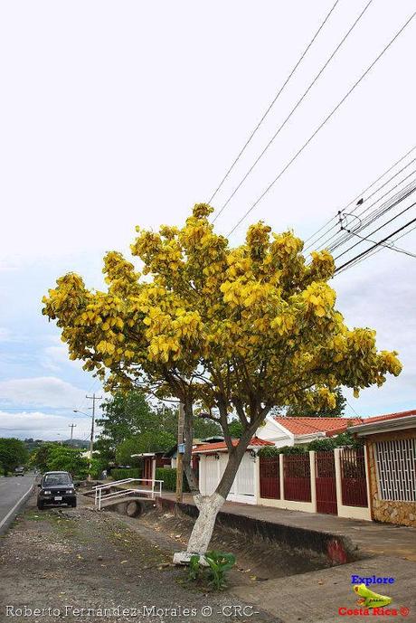 Ciudad de Esparza de Puntarenas