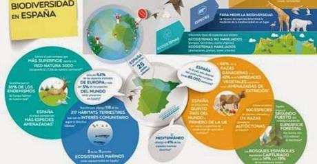 Infografía: La Biodiversidad en España