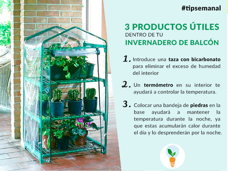 Cómo proteger tu huerto de las heladas consejos para invernaderos