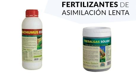 fertilizante asimilación lenta